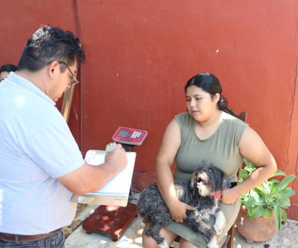 LA CIUDADANIA SABE LA IMPORTANCIA DE LA ESTERILIZACIÓN: JCRM