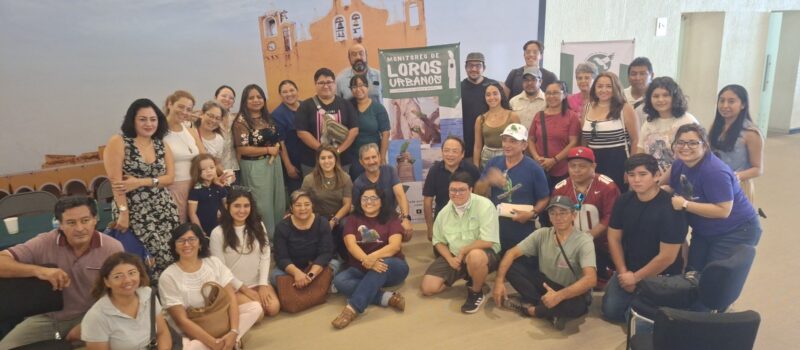 MONITOREAN SIETE ESPECIES DE LOROS