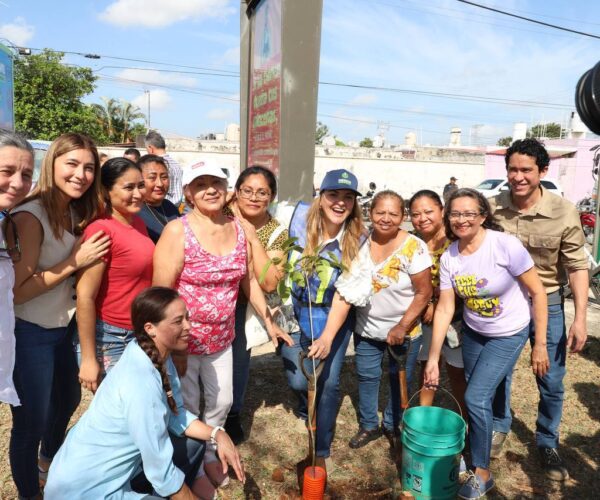 CRUZADA FORESTAL VA POR MÁS DE OCHO MIL ÁRBOLES