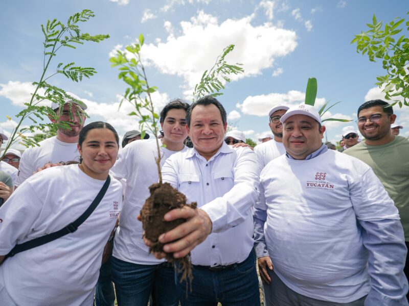 HUACHO DA INICIO AL RENACIMIENTO VERDE