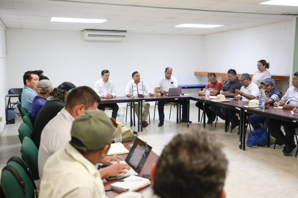 REGRESAN A LAS AULAS EL LUNES