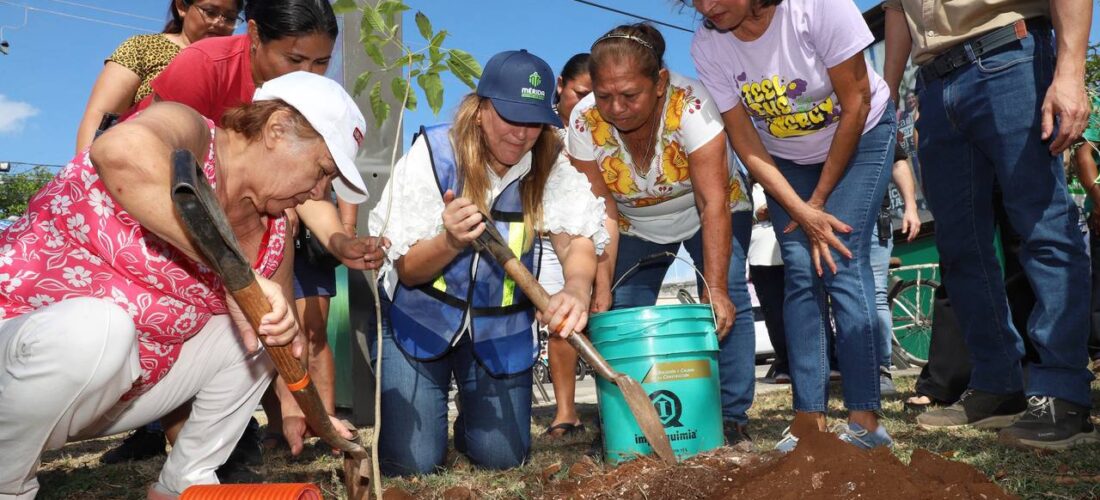 BUSCAMOS REVERDECER LA CIUDAD DE UNA MANERA DIFERENTE: CPL