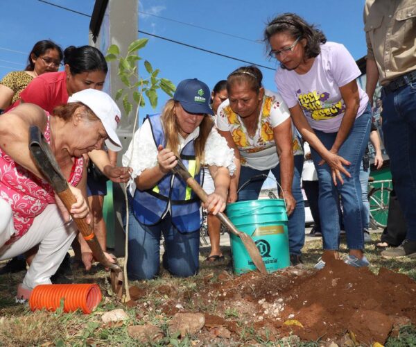 BUSCAMOS REVERDECER LA CIUDAD DE UNA MANERA DIFERENTE: CPL