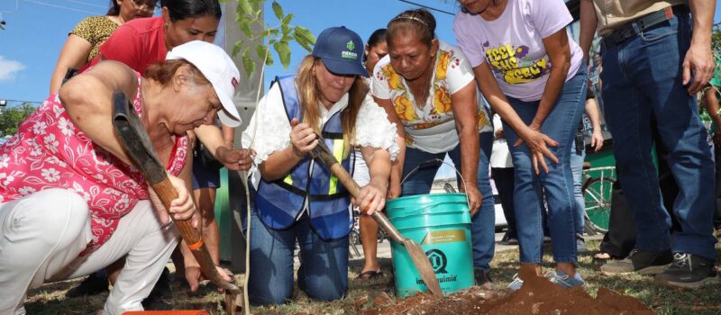 BUSCAMOS REVERDECER LA CIUDAD DE UNA MANERA DIFERENTE: CPL