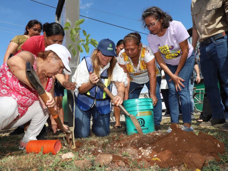 BUSCAMOS REVERDECER LA CIUDAD DE UNA MANERA DIFERENTE: CPL