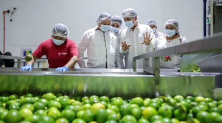 NUESTRO GOBIERNO ES DE TERRITORIO NO DE ESCRITORIO: JDM