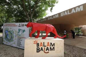 CECI PATRÓN INAUGURA EL FELINARIO “BALAM BALAM”