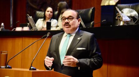 A ROMPER LA ESCLAVITUD DE LOS DELFINES