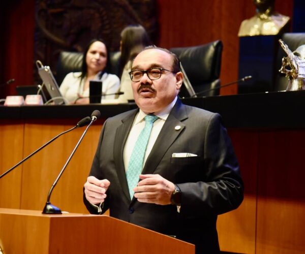 A ROMPER LA ESCLAVITUD DE LOS DELFINES