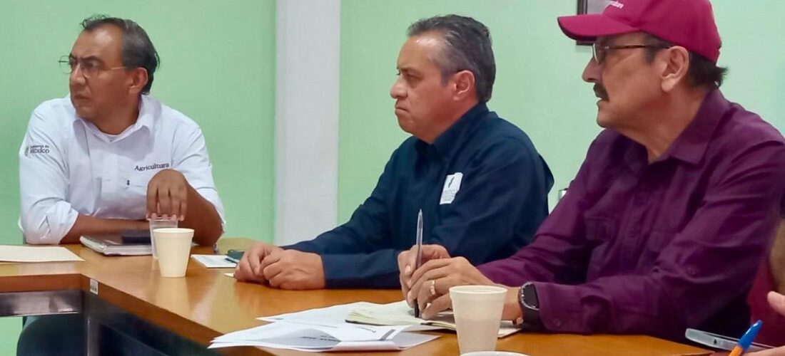 INICIA CAPTURA DE LANGOSTA