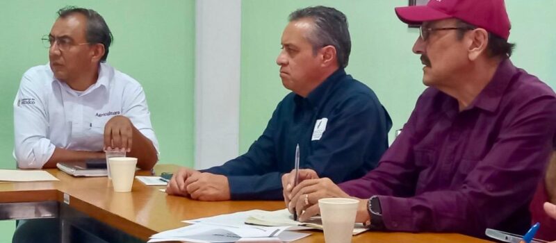 INICIA CAPTURA DE LANGOSTA