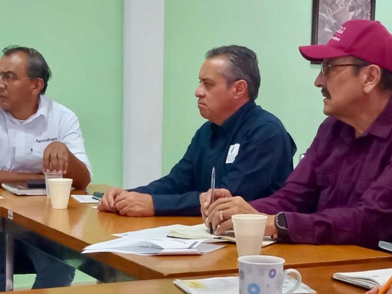 INICIA CAPTURA DE LANGOSTA