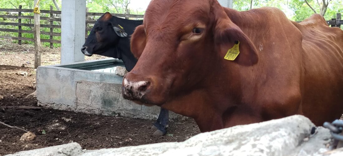 REPORTA CUALQUIER SOSPECHA DE INFECCIÓN