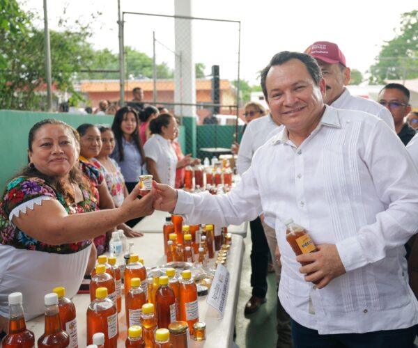 RENACE LA PRODUCCIÓN APÍCOLA EN YUCATÁN