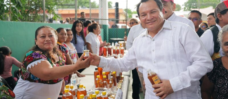 RENACE LA PRODUCCIÓN APÍCOLA EN YUCATÁN
