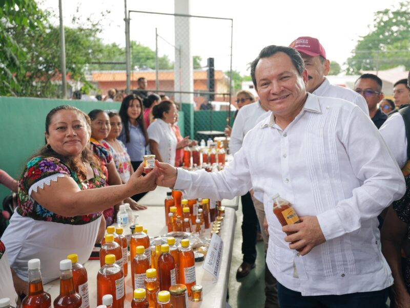 RENACE LA PRODUCCIÓN APÍCOLA EN YUCATÁN