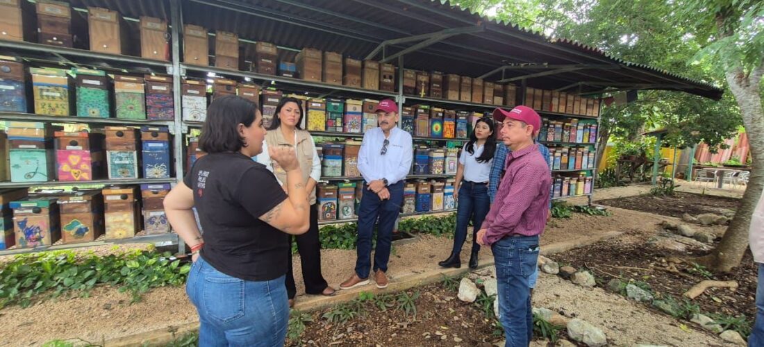 POR UN DESARROLLO RURAL SOSTENIBLE