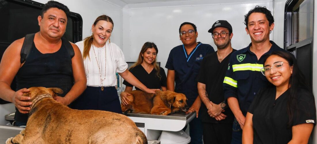 MEGA JORNADA EL DÍA MUNICIPAL DE ESTERILIZACIÓN