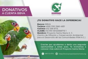 ¡PARTICIPA EN LA RIFA CON CAUSA!