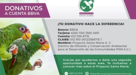 ¡PARTICIPA EN LA RIFA CON CAUSA!