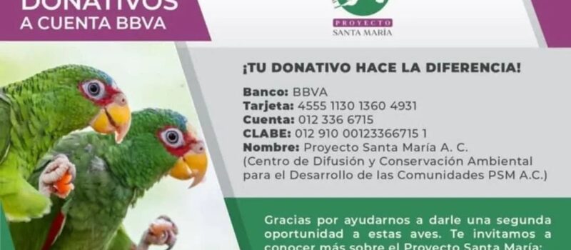 ¡PARTICIPA EN LA RIFA CON CAUSA!