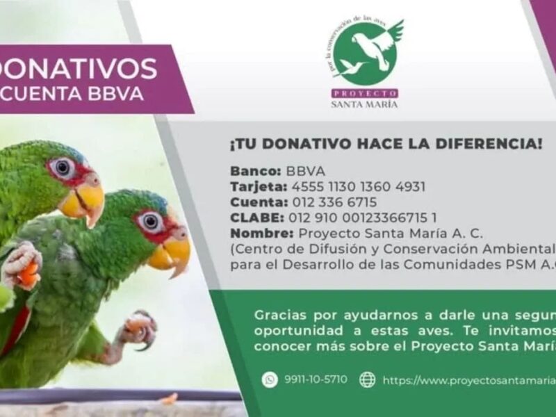 ¡PARTICIPA EN LA RIFA CON CAUSA!