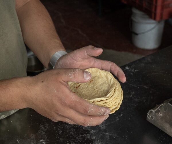 LA META ES REDUCIR EL PRECIO DE LA TORTILLA