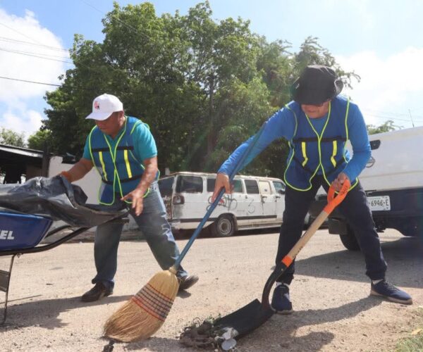 ESTE HA SIDO EL AÑO DE LA LIMPIEZA DE MÉRIDA: CPL
