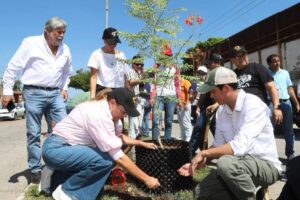 CECI APUESTA POR LA RERORESTACIÓN