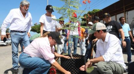 CECI APUESTA POR LA RERORESTACIÓN