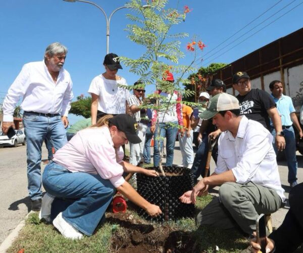 CECI APUESTA POR LA RERORESTACIÓN