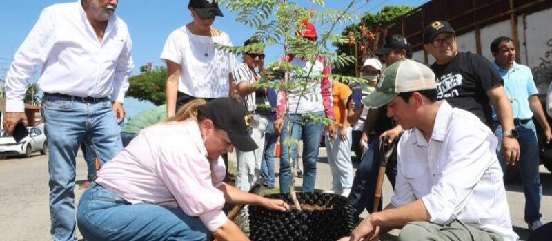 CECI APUESTA POR LA RERORESTACIÓN