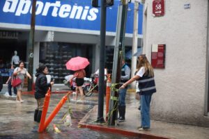 PERSONALMENTE CECI PATRÓN RECORRE LAS CALLES