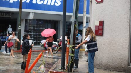 PERSONALMENTE CECI PATRÓN RECORRE LAS CALLES