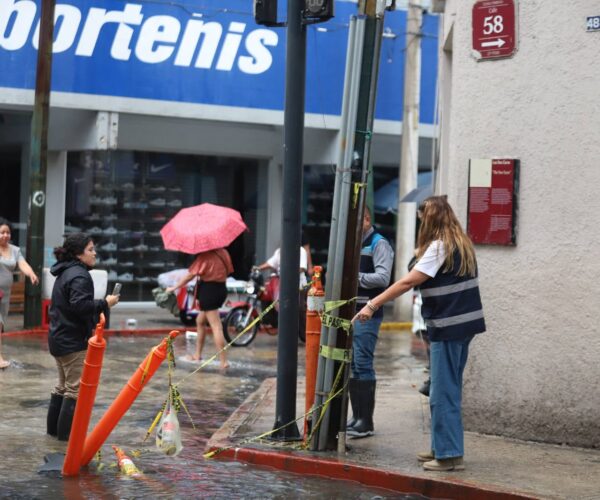 PERSONALMENTE CECI PATRÓN RECORRE LAS CALLES