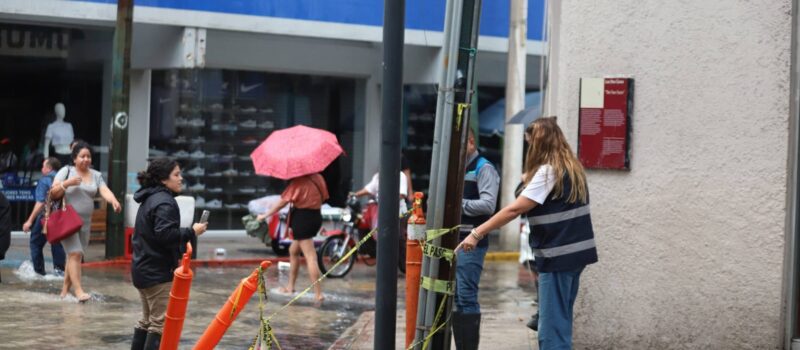 PERSONALMENTE CECI PATRÓN RECORRE LAS CALLES