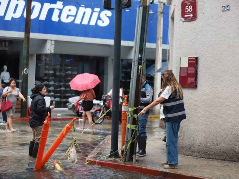 PERSONALMENTE CECI PATRÓN RECORRE LAS CALLES