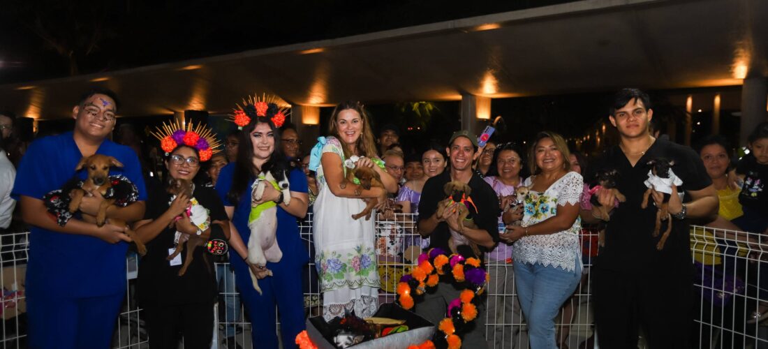 CECI CELEBRA PIXÁN PEEK 2025