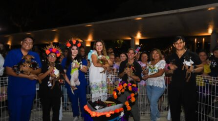 CECI CELEBRA PIXÁN PEEK 2025