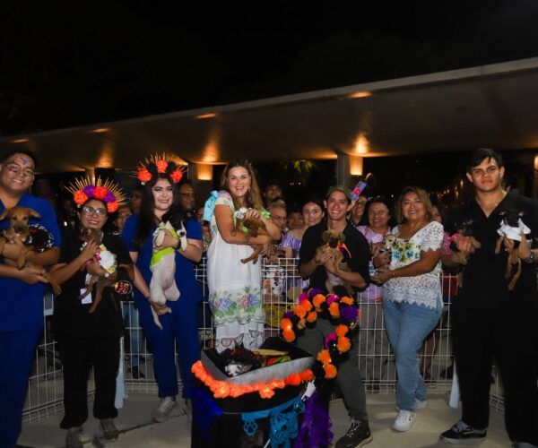 CECI CELEBRA PIXÁN PEEK 2025