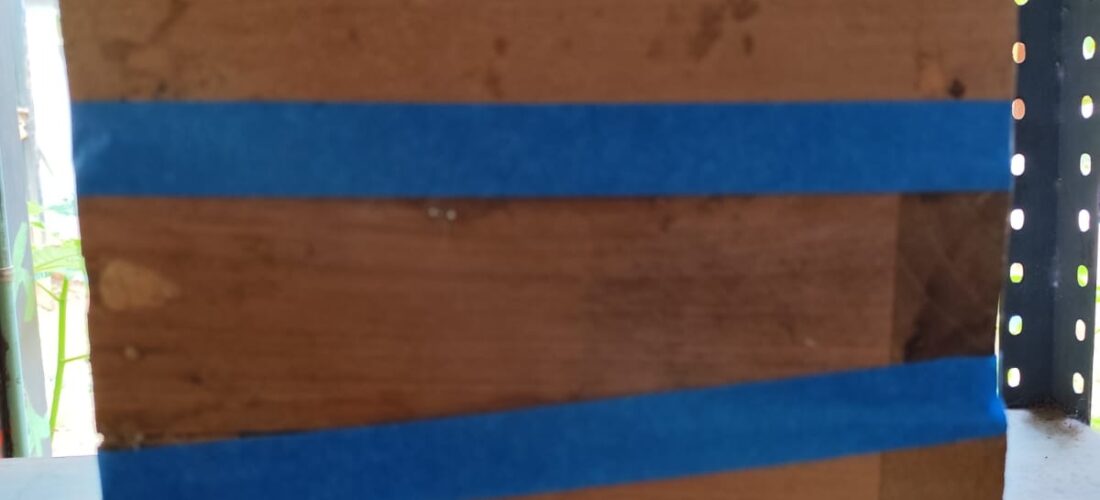 PIDEN QUE DEVUELVAN A LAS ABEJITAS