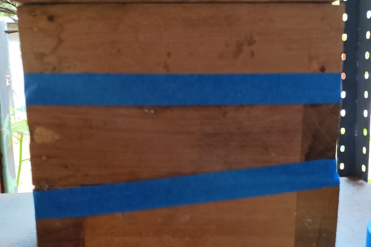 PIDEN QUE DEVUELVAN A LAS ABEJITAS