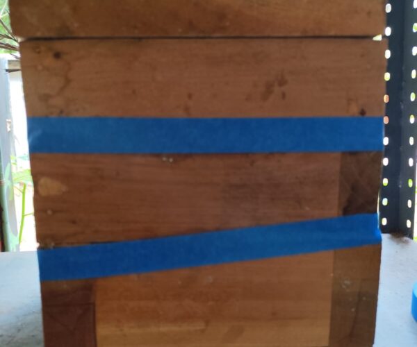 PIDEN QUE DEVUELVAN A LAS ABEJITAS