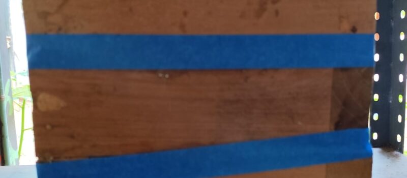 PIDEN QUE DEVUELVAN A LAS ABEJITAS