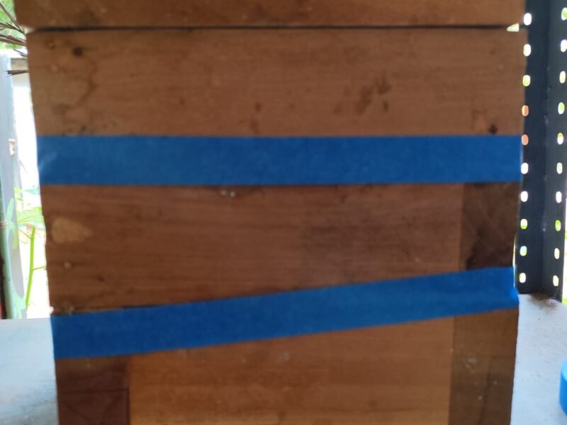 PIDEN QUE DEVUELVAN A LAS ABEJITAS