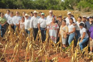 UNIDOS CONTRA EL GUSANO BARRENADOR