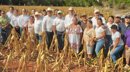 UNIDOS CONTRA EL GUSANO BARRENADOR