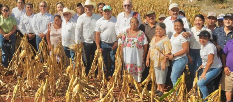 UNIDOS CONTRA EL GUSANO BARRENADOR