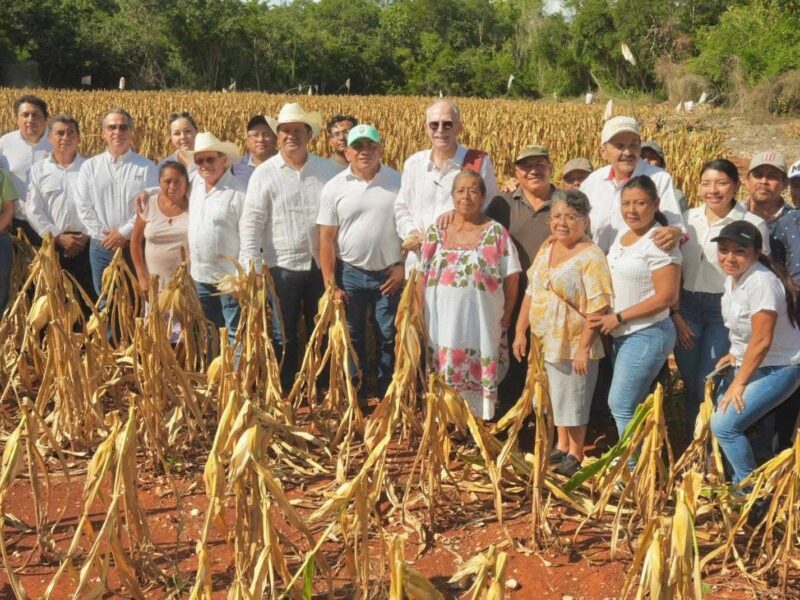 UNIDOS CONTRA EL GUSANO BARRENADOR