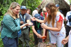 APICULTURA, TRADICIÓN MILENARIA